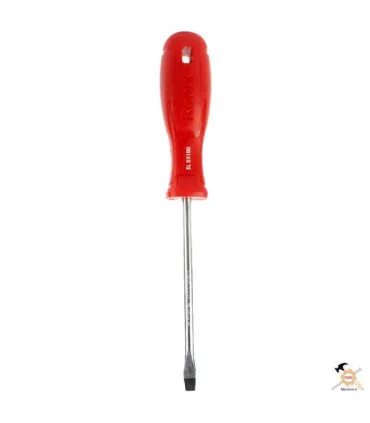 پیچ گوشتی 2 سو 100*6 مدل RH 2773 Ronix رونیکس