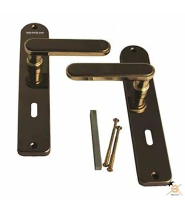 دستگیره پلاک درب چوبی کلیدی دلتا