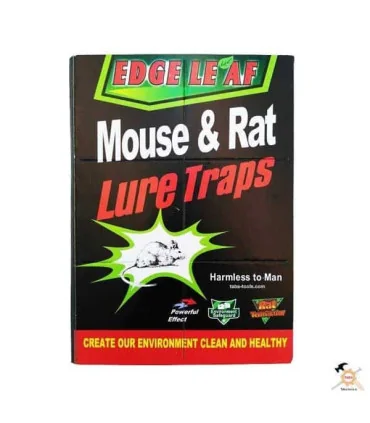 چسب موش کتابی