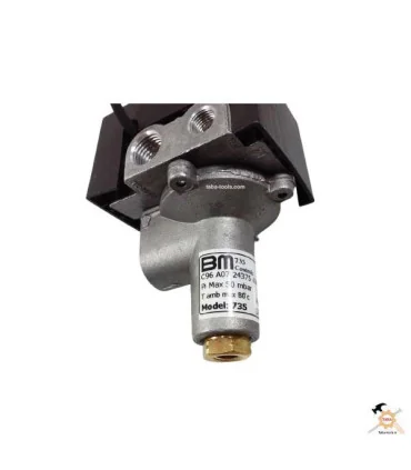 شیر کنترل بخاری گازی BM